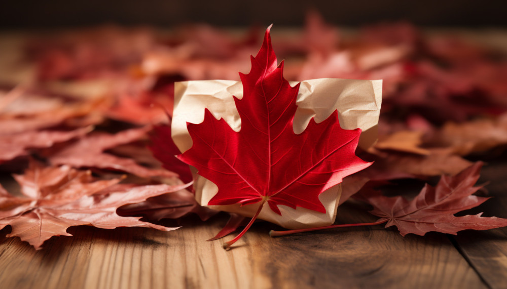 Quelles sont les conditions pour avoir le visa Canada ?